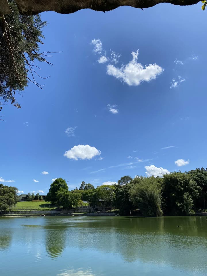Vista do lago com mata refletida na água e céu azul